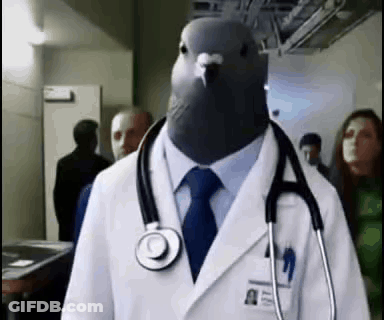 Pigeon In Doctor Coat And Tie With Stethoscope GIF