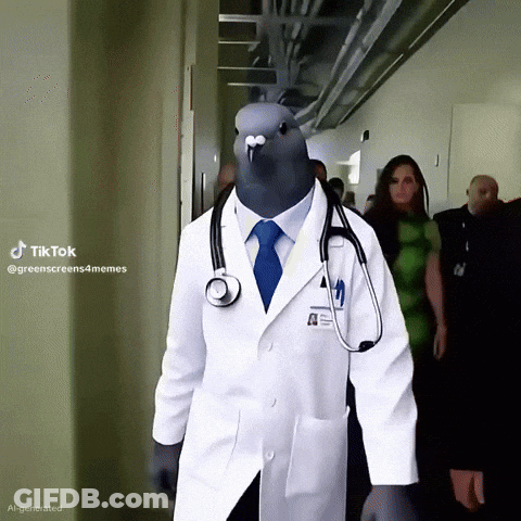 Pigeon In Doctor Coat With Stethoscope GIF