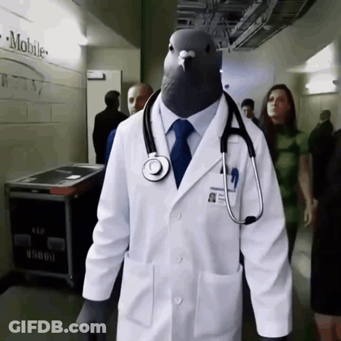 Pigeon In Lab Coat With Stethoscope GIF