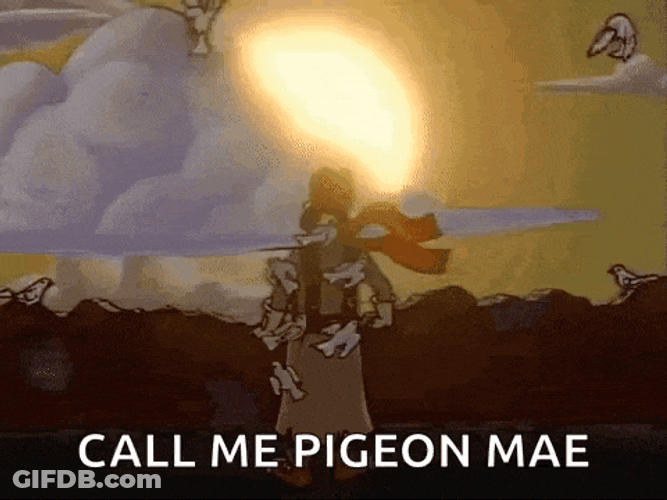 Pigeon Man Pigeonman GIF