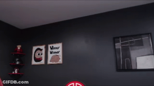 Pigeon On Wall Beside Window GIF