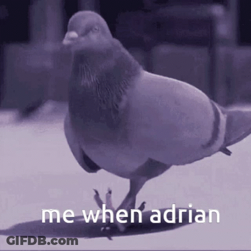 Pigeon Saying Me When Adrian GIF