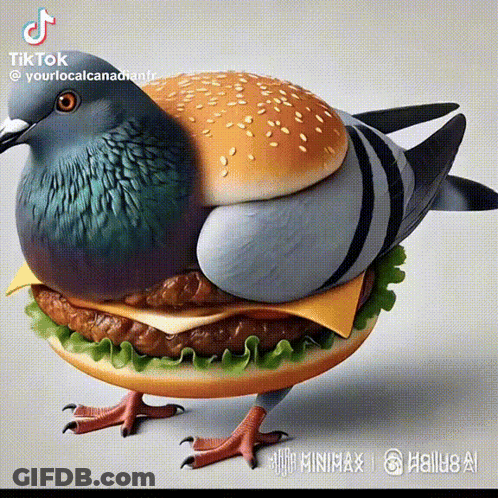 Pigeon Sitting On Hamburger Bun GIF