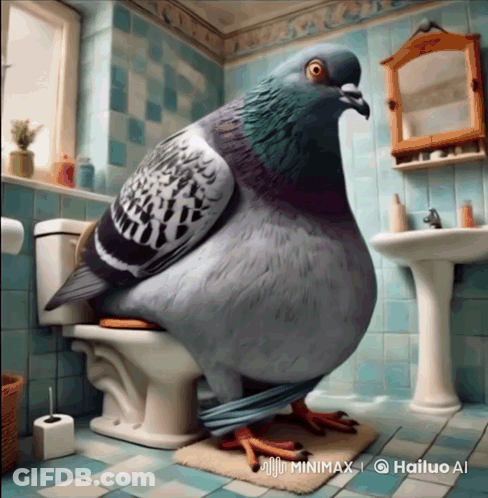 Pigeon Sitting On Toilet With Hailuo AI Watermark GIF
