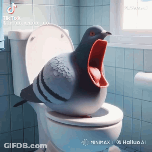 Pigeon Sitting On Toilet With Mouth Open GIF