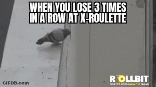 Pigeon Standing On Wall Next To Wall GIF
