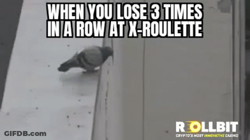 Pigeon Standing On Wall Next To Window GIF