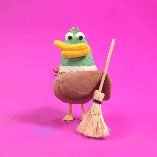Pigeon Sweeping GIF