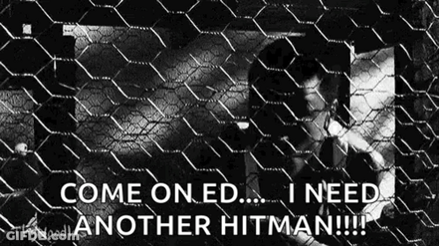 Pigeon GIF