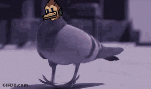 Pigeon Wearing Mask With Letter B GIF