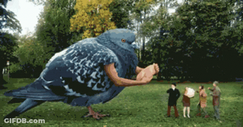 Pigeon With Man's Arm In Grassy Field GIF