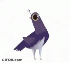 Pigeon With Question Mark On Head GIF