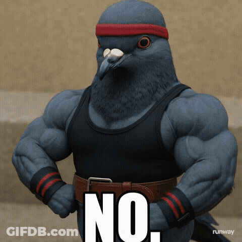 Pigeon With Red Headband And Black Tank Top Says No GIF