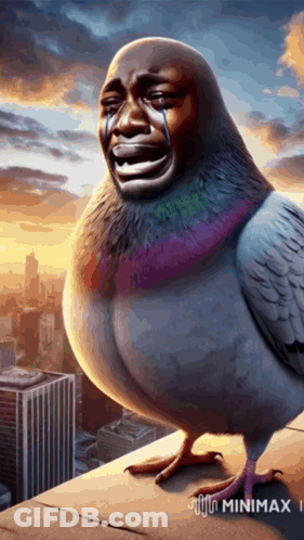 Pigeon With Tears Sitting On Ledge GIF