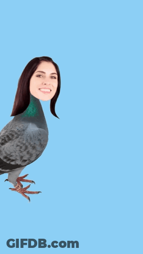 Pigeon With Woman's Head GIF
