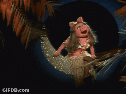 Piggy Doll Sitting On Hammock With Palm Tree GIF