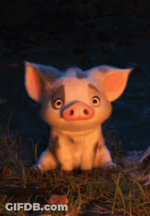 Piggy What Confused Why How GIF