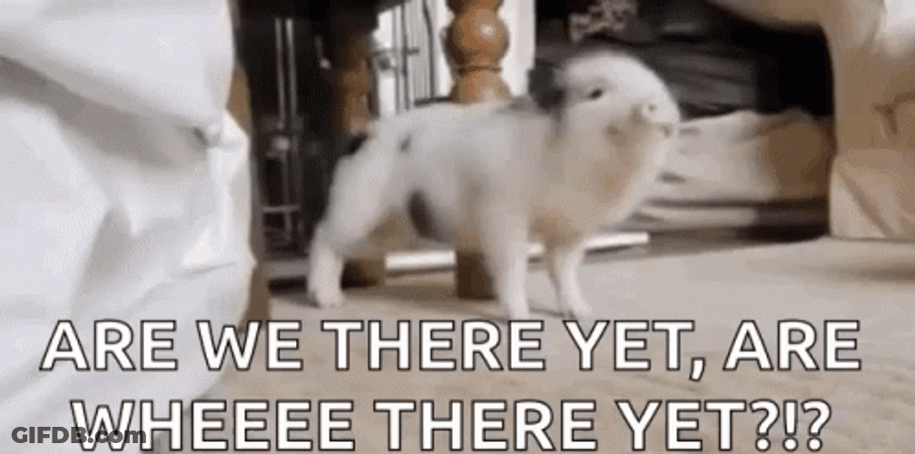 Piglet Dancing And Asking Are We There Yet GIF