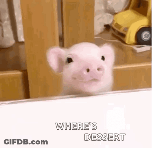 Piglet Finding Where's Dessert GIF