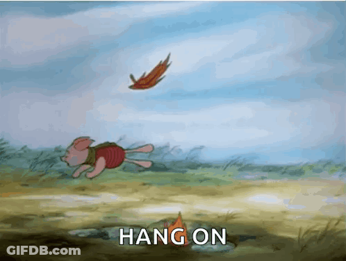 Piglet Running In Field With Butterfly Saying Hang On GIF