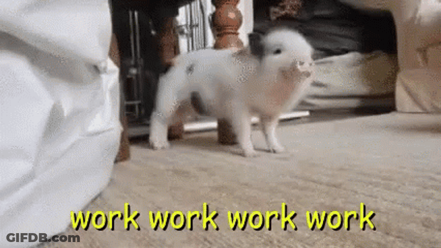 Piglet Twerking Work Work Work GIF