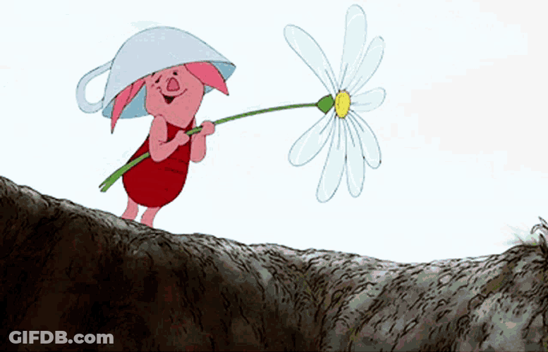 Piglet Winnie The Pooh GIF