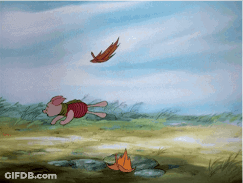 Piglet Winnie The Pooh GIF