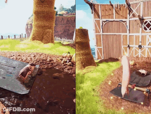 Pigs In Mud Puddle And Fenced Area GIF