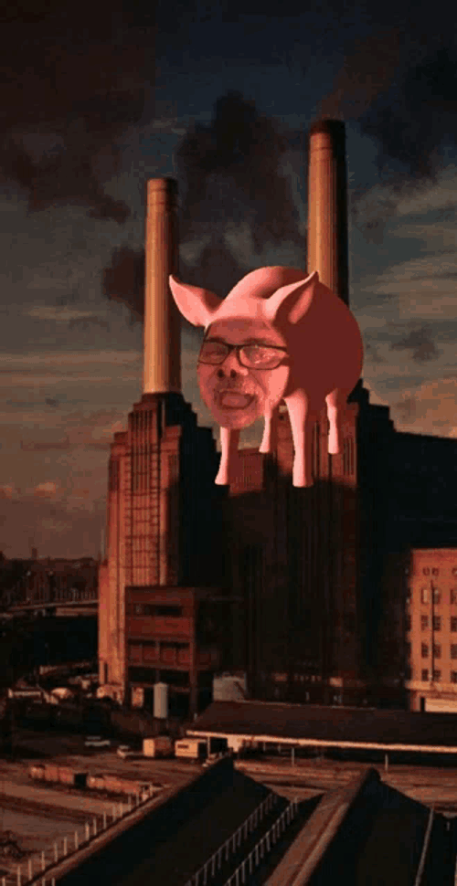 Pigs On The Wing Meme GIF