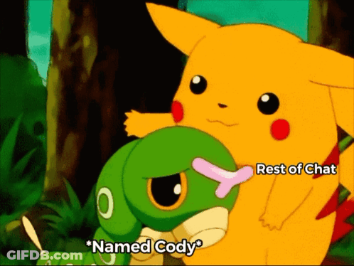 Pikachu And Caterpillar Rest Of Chat Named Cody GIF