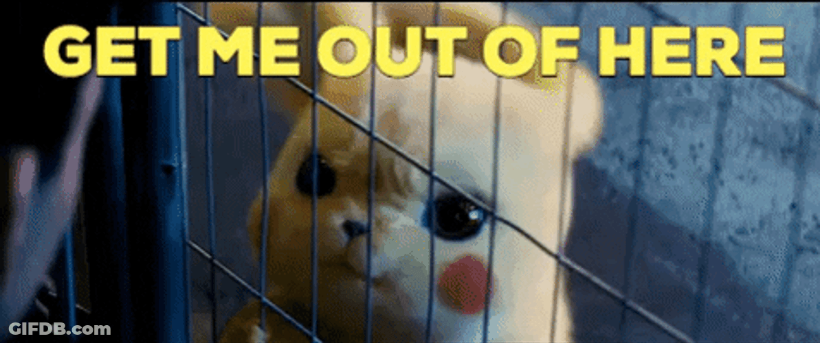 Pikachu Get Me Out Of Here GIF