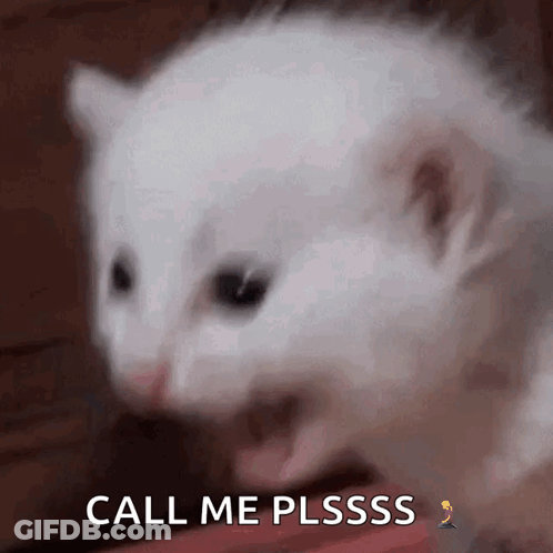 Pikachu Holding Cell Phone GIF