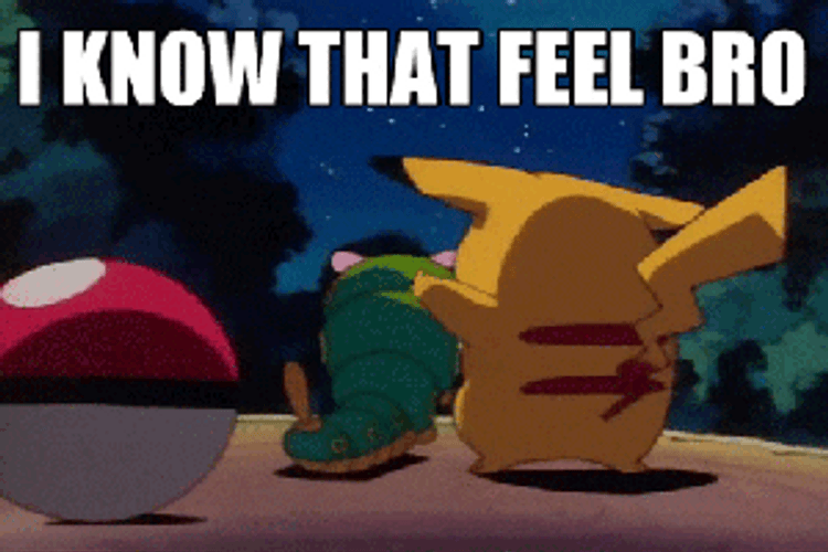 Pikachu I Know Those Feels GIF