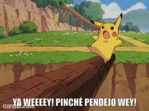 Pikachu On Log Saying Ya Weeeeey Pinche Pendejo Wey GIF