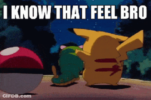 Pikachu Standing Next To Pokeball Saying I Know That Feel Bro GIF