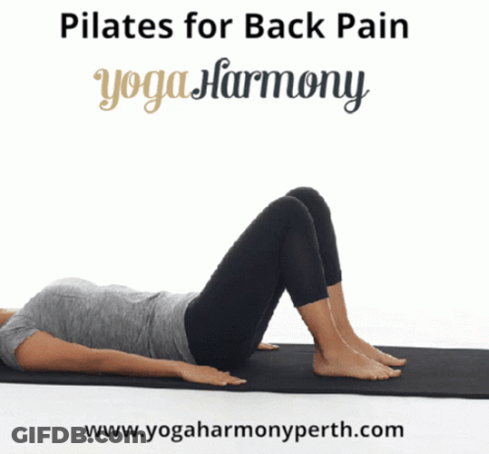 Pilates For Back Pain GIF