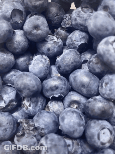 Pile Of Blueberries With A Few Missing GIF