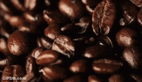 Pile Of Coffee Beans GIF