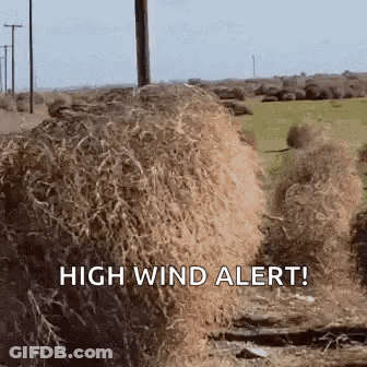 Pile Of Hay With High Wind Alert GIF