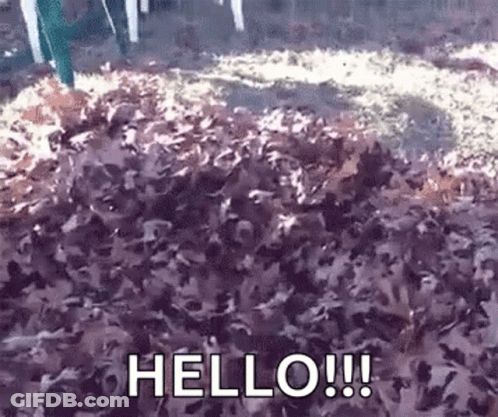 Pile Of Leaves Saying Hello GIF