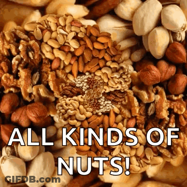 Pile Of Nuts Saying All Kinds Of Nuts GIF
