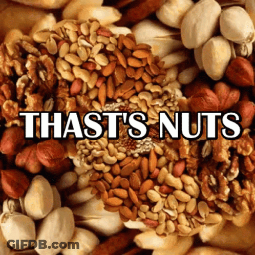 Pile Of Nuts That's Nuts GIF