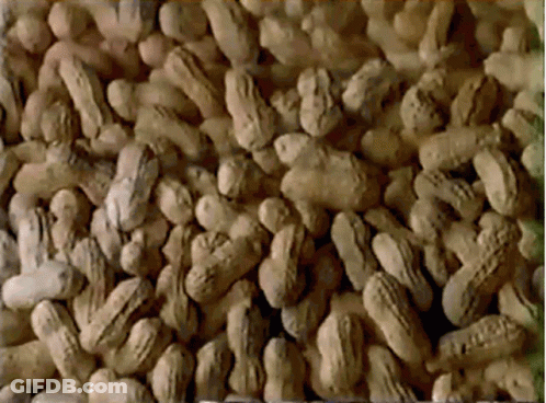 Pile Of Peanuts In Shells With Some Missing GIF