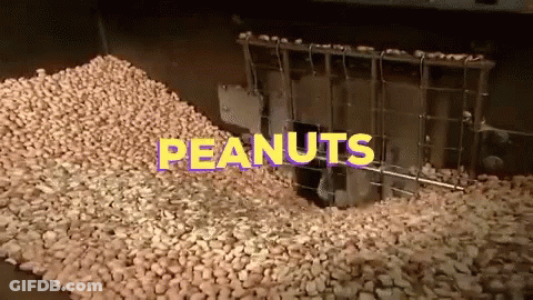 Pile Of Peanuts With Text Peanuts GIF