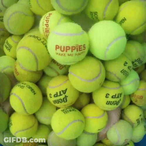 Pile Of Tennis Balls Saying Puppies Make Me Happy GIF