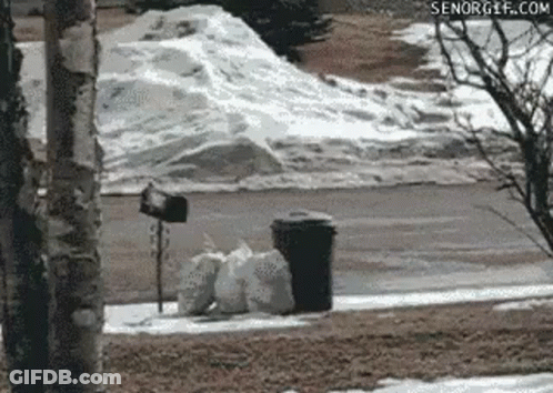Pile Of Trash On Sidewalk Next To Mailbox GIF