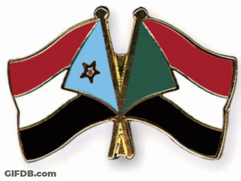Pin With Two Flags One Has A Star GIF