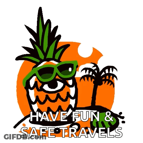Pineapple Wearing Sunglasses Have Fun & Safe Travels GIF