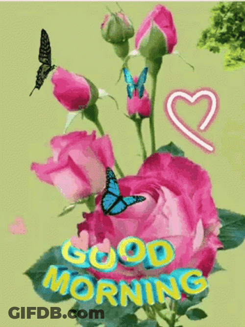 Ping Leung Special Good Morning GIF