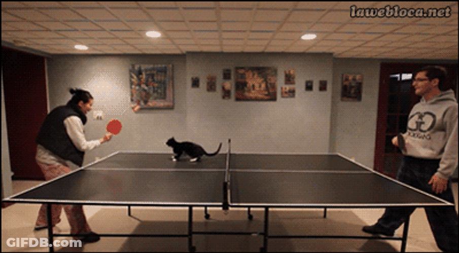 Ping Pong GIF